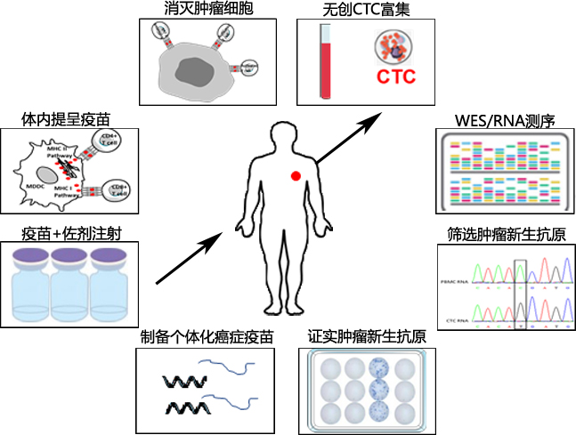 个体化癌症疫苗研发服务