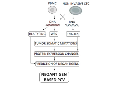 IDENTIFICATION OF NEOANTIGENS